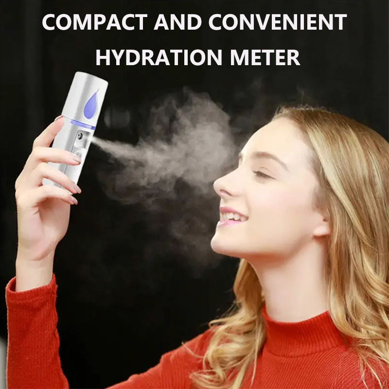 Mini Nano Facial Mister Face H - Face Steamer 评论和价格